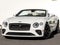 2024 Bentley Continental GTC Speed Edition 12